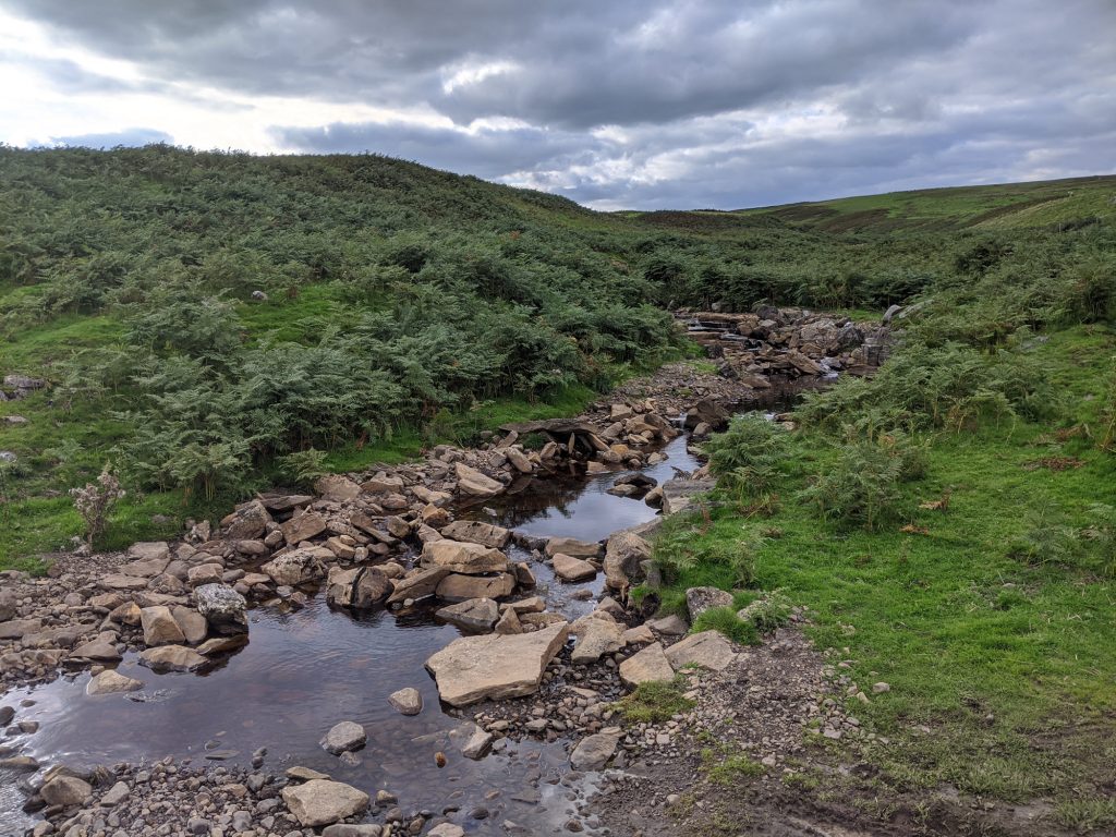 A stream flowing through rural landscape in Yorkshire